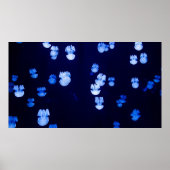 LANTERN POSTER (Vorne)
