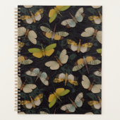 Lanternflies - Pyrops Candelaria und andere Planth Planer (Vorderseite)