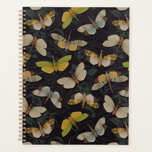 Lanternflies - Pyrops Candelaria und andere Planth Planer (Vorderseite)