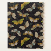 Lanternflies - Pyrops Candelaria und andere Planth Planer (Rückseite)