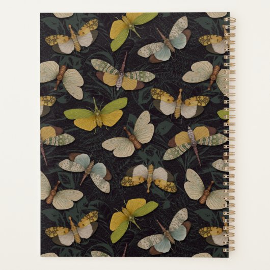 Lanternflies - Pyrops Candelaria und andere Planth Planer (Rückseite)