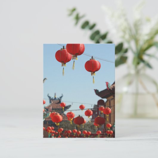 Lanterns in Chinatown Postkarte (Stehend Vorderseite)