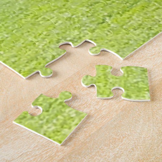 Lanterns in Cloisters Bryn Mawr Puzzle (Seite)