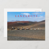 Lanzarote Kamele auf Postkarte (Vorne/Hinten)