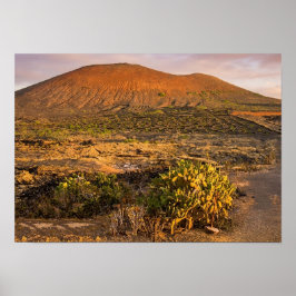 Lanzarote Vulkanischer Weinberg und Caldera bei So Poster
