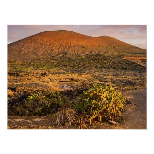 Lanzarote Vulkanischer Weinberg und Caldera bei So Poster (Vorderseite)