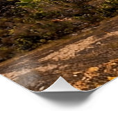 Lanzarote Vulkanischer Weinberg und Caldera bei So Poster (Ecke)