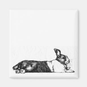 Lanze das Unamused Bunneh Magnet