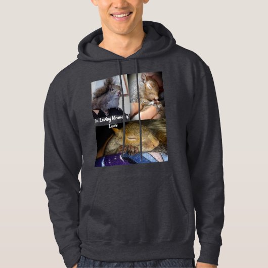 Lanzenbekleidung Hoodie (Vorderseite)