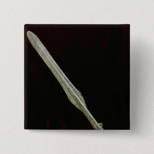 Lanzenpunkt, Yayoi Zeitraum, 200 BC-AD 100 Button (Vorderseite)