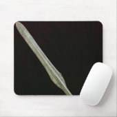 Lanzenpunkt, Yayoi Zeitraum, 200 BC-AD 100 Mousepad (Mit Mouse)