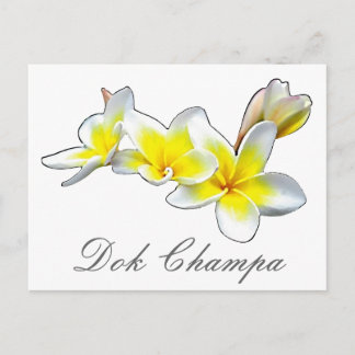LAO BLUME DOK CHAMPA - PLUMERIA RUBRA POSTKARTE
