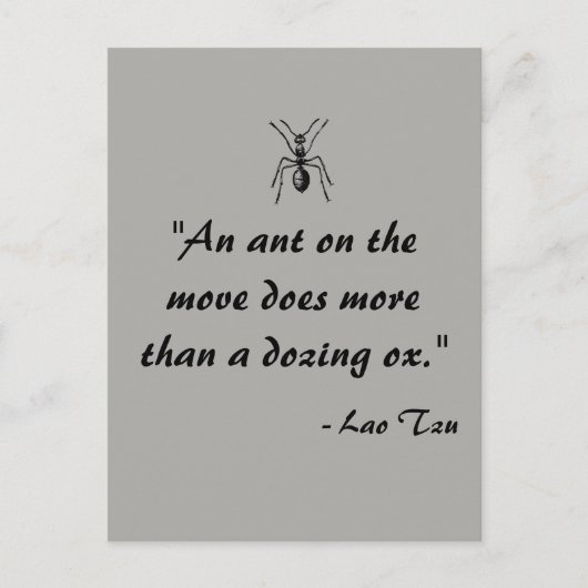 Lao Tzu Ant Quote Postcard Postkarte (Vorderseite)