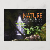 Lao Tzu Inspiration Zitat "Natur" Postkarte (Vorderseite)