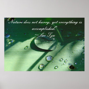 Lao Tzu Nature Quote Poster
