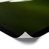 Lao Tzu Quote Ladybug Daisy Inspiration Motivation Poster (Ecke)