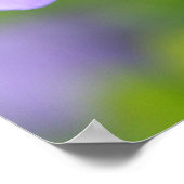 Lao Tzu Quote Poster (Ecke)