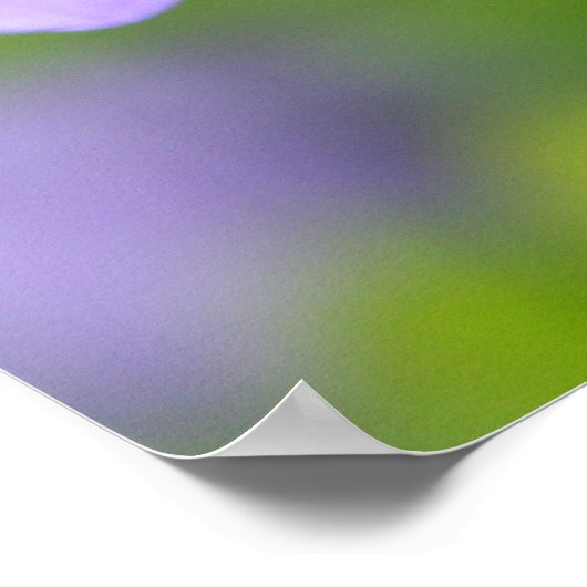 Lao Tzu Quote Poster (Ecke)