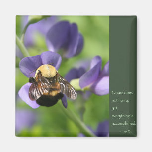 Lao Tzu Worte der Weisheit Magnet