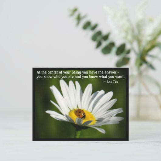 Lao Tzu Zitat Ladybird Daisy Inspirierend Motivati Postkarte (Stehend Vorderseite)