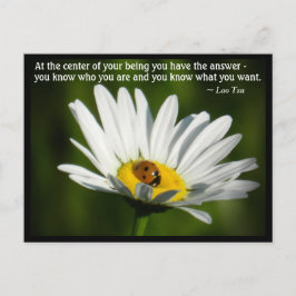 Lao Tzu Zitat Ladybird Daisy Inspirierend Motivati Postkarte