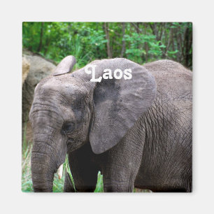 Laos-Elefant Magnet