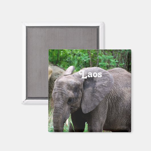 Laos Elephant Magnet (Vorderseite/Rückseite)