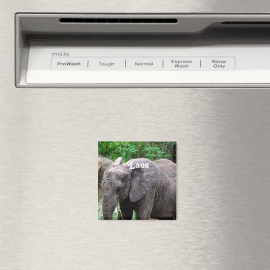Laos Elephant Magnet (In Situ (Geschirrspüler))