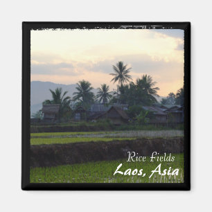 Laos, Sonnenuntergang über Reisfeldern (Magnet) Magnet