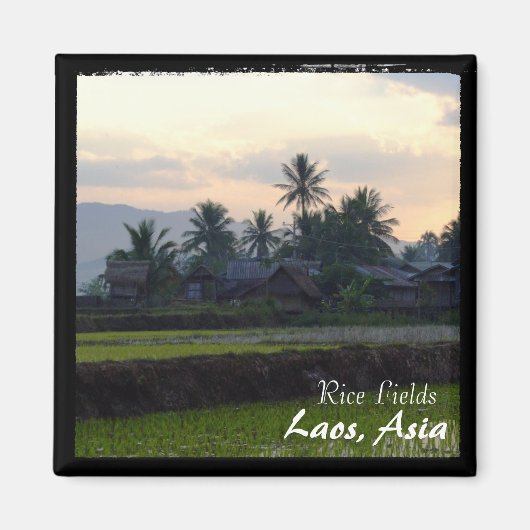 Laos, Sunset above rice fields (Magnet) Magnet (Vorne)