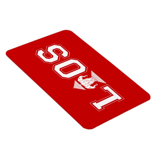 LAOS UNIVERSITY MAGNET (Rechte Seite)