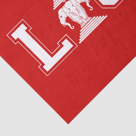 LAOS UNIVERSITY SEIDENPAPIER (Ausschnitt)