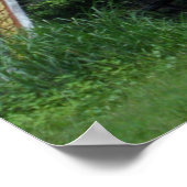 Laotian Gate Poster (Ecke)