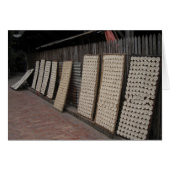 Laotian Rice Field (Vorderseite (Horizontal))