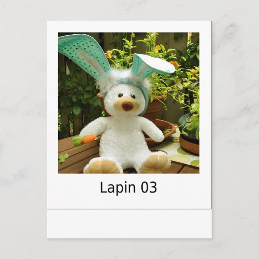 Lapin 03 postkarte (Vorderseite)