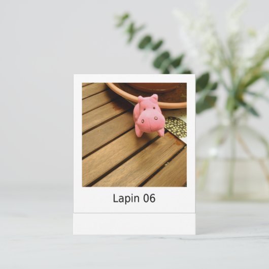 Lapin 06 postkarte (Stehend Vorderseite)