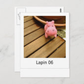 Lapin 06 postkarte (Vorne/Hinten)