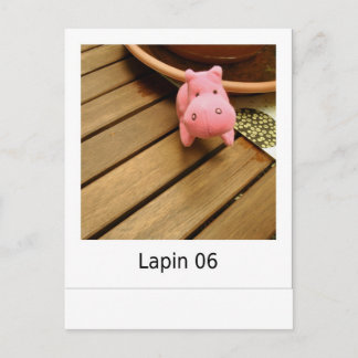 Lapin 06 postkarte