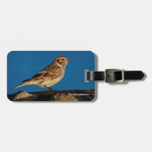 Lapland Longspur auf einem sonnenbeleuchteten Log Gepäckanhänger (Vorderseite horizontal)