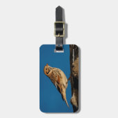 Lapland Longspur auf einem sonnenbeleuchteten Log Gepäckanhänger (Vorderseite vertikal)