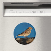 Lapland Longspur auf einem sonnenbeleuchteten Log Magnet (In Situ (Geschirrspüler))