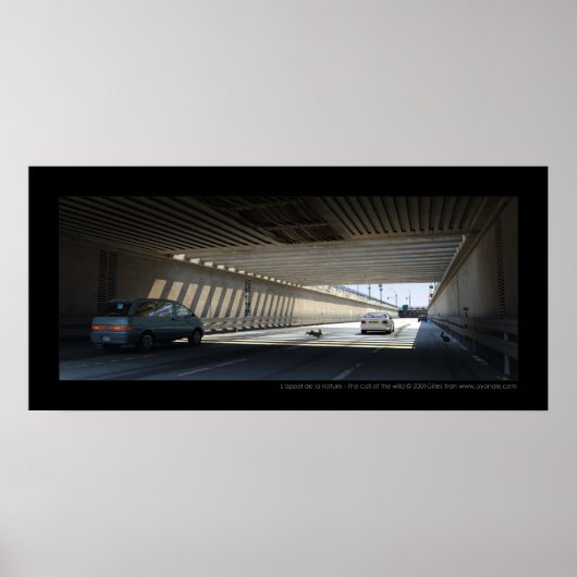 L'appel de la nature - Der Ruf der Wildnis Poster (Vorne)