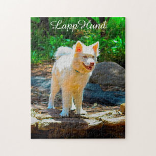Lapphund Hund. Puzzle