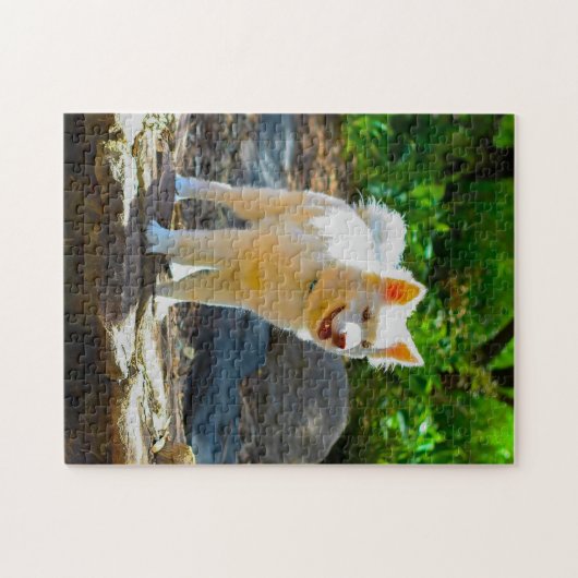 Lapphund Hund. Puzzle (Horizontal)