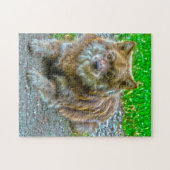 Lapphund Hund. Puzzle (Horizontal)