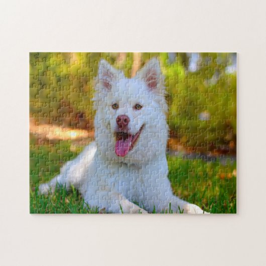Lapphund Hund. Puzzle (Horizontal)