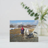 Lappland, Sámi Regelung mit Zelt und Kuh Postkarte (Stehend Vorderseite)