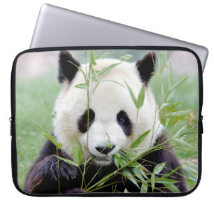 Laptop Ärmel Foto Riesenpanda , Tiere. Laptopschutzhülle