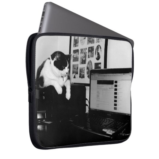 Laptop-Sieb Laptopschutzhülle (Vorne Rechts)