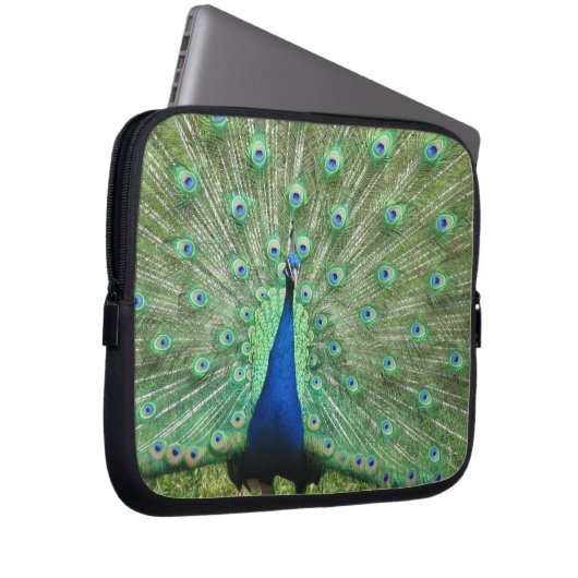 Laptop-Sieb - Peacock Laptopschutzhülle (Vorne Rechts)